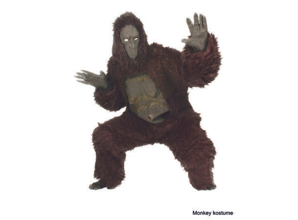 Kostyme - apekatt