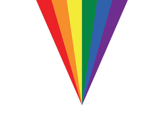 Regnbue vimpelbanner 5m