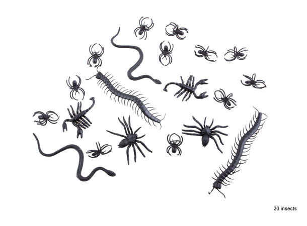 Insekter og kryp